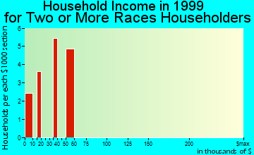 Gateway household income for two or more races householders