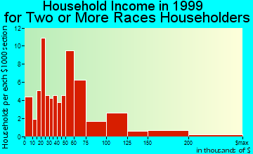 Schaumburg household income for two or more races householders