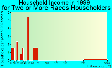 Houston household income for two or more races householders