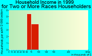 Beech Grove household income for two or more races householders