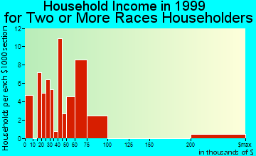 Portage household income for two or more races householders
