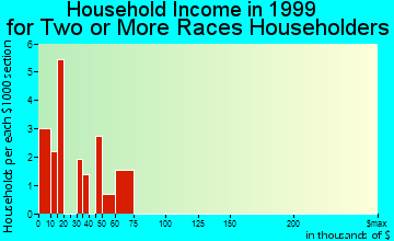 Burlington household income for two or more races householders