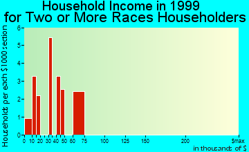 Center Point household income for two or more races householders