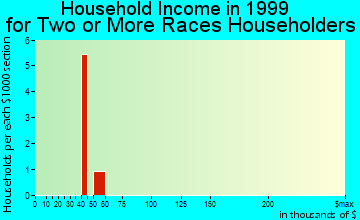 Salamatof household income for two or more races householders