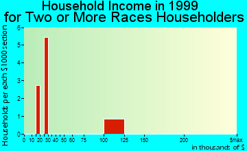 Chelsea household income for two or more races householders