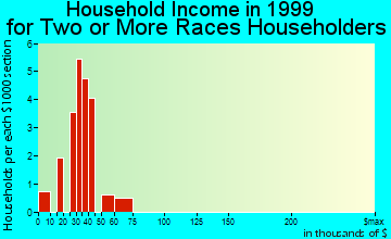 West Des Moines household income for two or more races householders