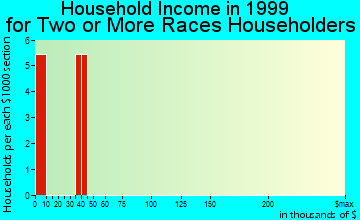 Woodbine household income for two or more races householders
