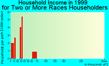 Auburn household income for two or more races householders