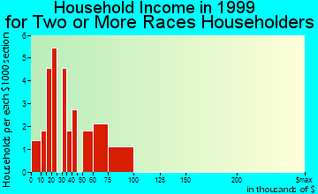 Belle Plaine household income for two or more races householders