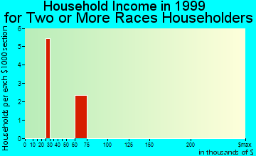 Garnett household income for two or more races householders