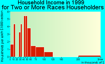 Valdez household income for two or more races householders