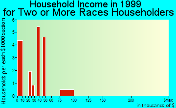 Bisbee household income for two or more races householders
