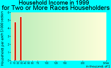 Bridge City household income for two or more races householders
