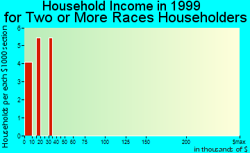 Varnado household income for two or more races householders