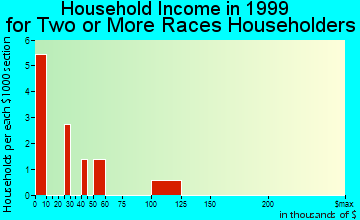 Miami household income for two or more races householders