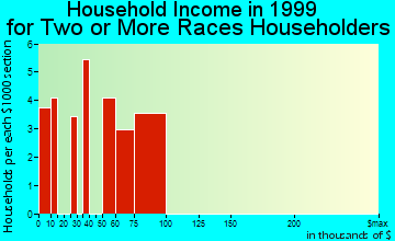 College Park household income for two or more races householders
