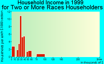 Essex household income for two or more races householders