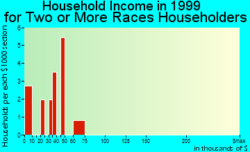 Fort Meade household income for two or more races householders