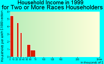 Falmouth household income for two or more races householders