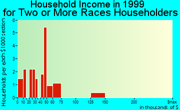 Gardner household income for two or more races householders