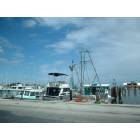 Rockport: fishing  docks  at Rockport,Texas