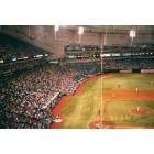 Tampa: Devil Rays