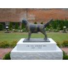 Marshall: Jim the Wonder Dog Memorial Garden Statue-Featured on Randcentertainment.com