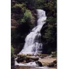 Gauley Bridge: The falls along US-60, just east of Gauley Bridge