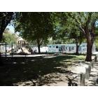 San Miguel: Free swimming for the kids during the summer provided by the Lion's club.