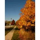 Gurnee: : A sunny October day in Southridge subdivision