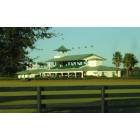 The Villages: : The Villages Polo Club