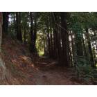 Santa Cruz: Top of the Enchanted Loop Trail at Wilder