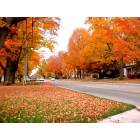 Lakeview: View of Lincoln Ave. in the fall