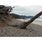Cannon Beach: No crowds at the beach