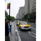 New York: : Taxi cabs, the dominant lifeform of New York City