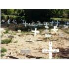 Salida: Pet Cemetery