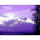 Valdez: Palmer, Alaska near Knik River Raod