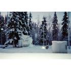 Fairbanks: : The gate at Fort Wainwright with ice sculpture