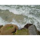 Sebastian: sebastian inlet