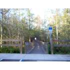 Clermont: Lake Louisa State Park , Clermont Florida