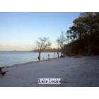 Clermont: Lake Louisa State Park , Clermont Florida