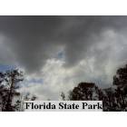 Clermont: Lake Louisa State Park , Clermont Florida