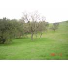 Agoura Hills: More hills behind Cheesbro Road in Old Agoura
