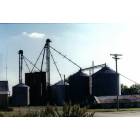 Rushville: : grain bins by Farm Services elevators in Rushville