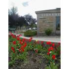A shot of the Le Sueur Public Library in the spring.