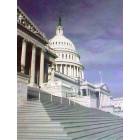 Washington: : House steps at the capitol