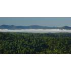 Murphy: This is a misty morning panorama of Five Forks