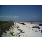 New Smyrna Beach: Sand Dunes at New Smyrna Beach, August 2005