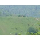 Boone: : Horse Pasture Hill Top