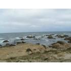 Monterey: Pacific Grove Coast off of Asilomar on a beautiful foggy day!